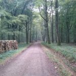 Filiere Bois Foret Min