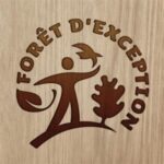 Foret Dexception E1490082437150
