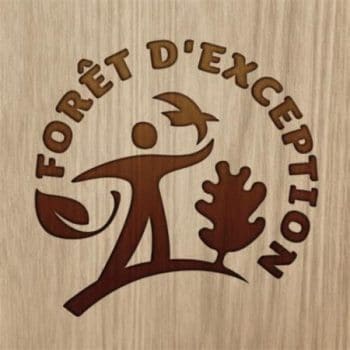 Foret Dexception E1490082437150
