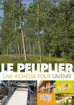 Peuplier Richessepourlavenir