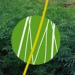 Evenement Ecochanvre