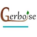 Gerboise