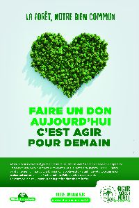 Agir Pour La Foret Web