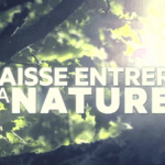 Laisse Entrer La Nature