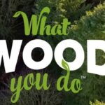 What Wood You Do