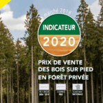 Prix Vente Bois Sur Pied