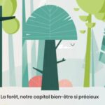 Motion Design 1