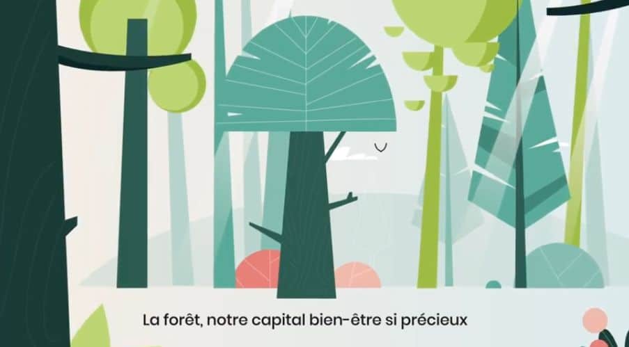 Motion Design 1