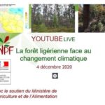 Foret Ligerienne Chnagement Climatique