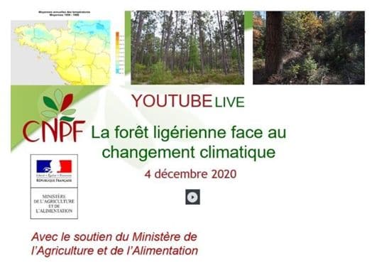 Foret Ligerienne Chnagement Climatique
