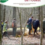 Bois Et Forets De L Ouest