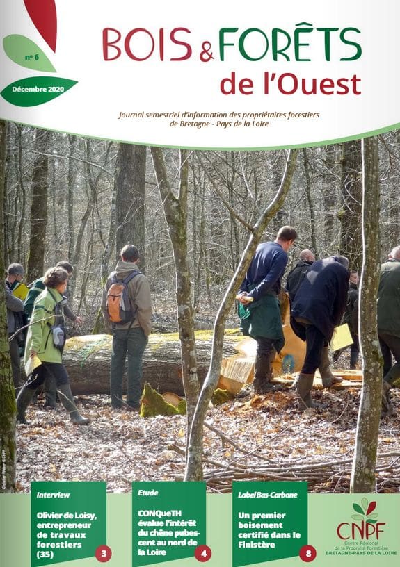 Bois Et Forets De L Ouest