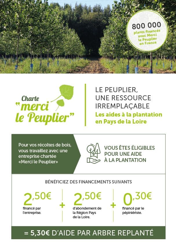 Flyer Peuplier