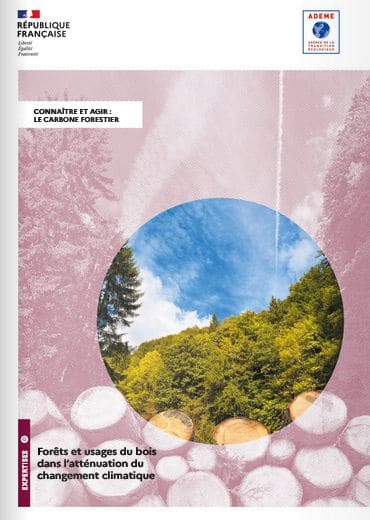 Guide Foret Et Usage Bois