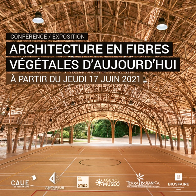 Fibra Award