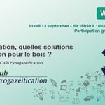 Webinaire Pyrogazeification