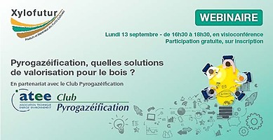 Webinaire Pyrogazeification