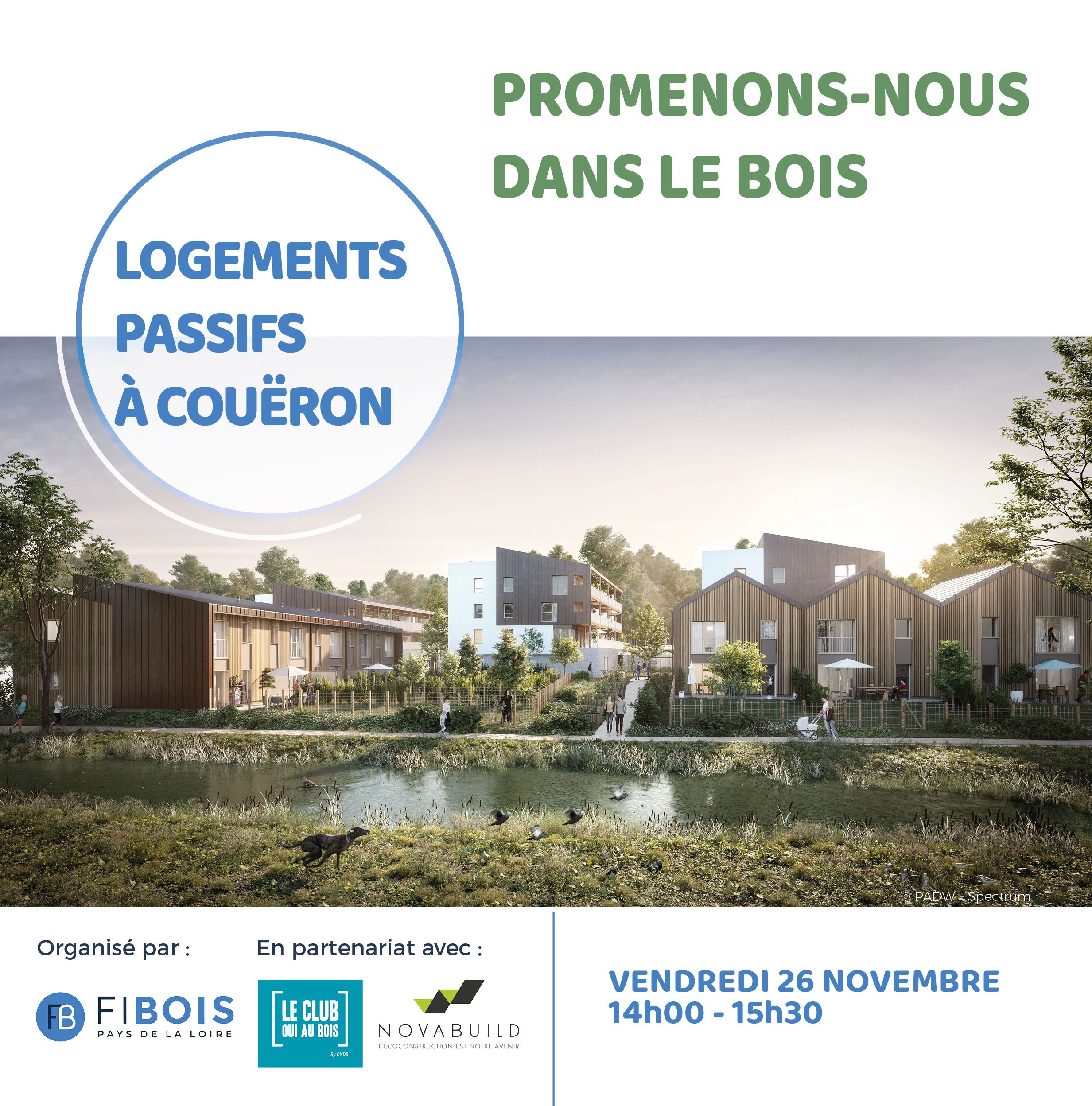 Image Haut
