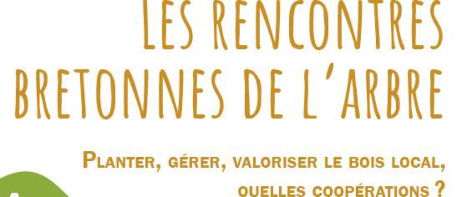 Rencontres Bretonnes Arbre