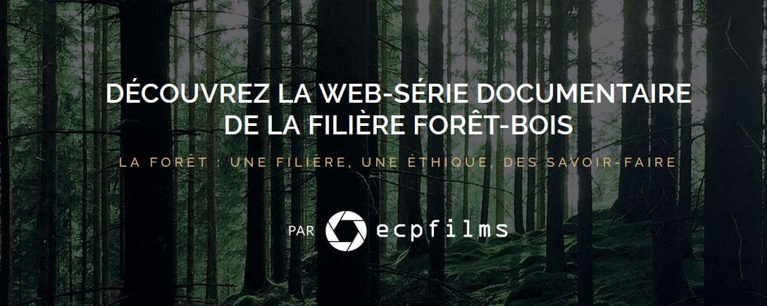 Web Serie Filiere