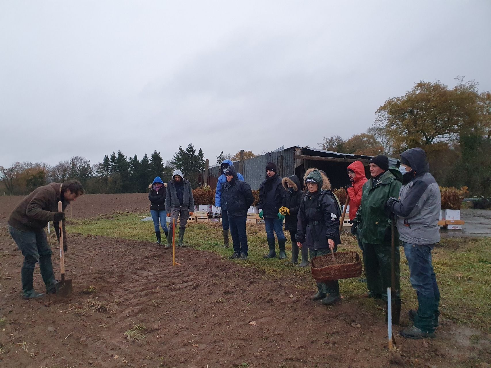 Plantation Minco