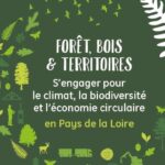 Foret Bois Territoires