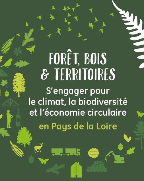 Foret Bois Territoires