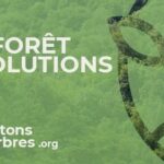 Plantons Des Arbres