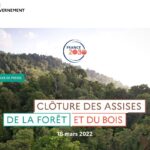 Cloture Assise Foret Bois