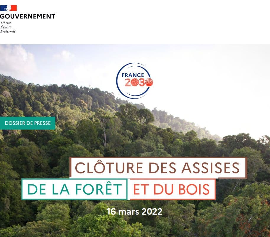 Cloture Assise Foret Bois
