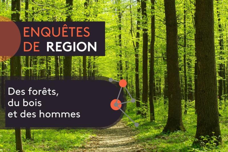 Enquete De Region