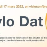 Xylodating