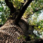 Adobestock 129250810 Wb