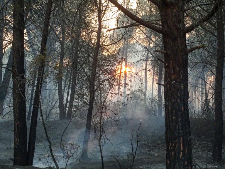 Incendie Anthony Cubaynes