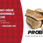 Probuche