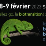 Bees Bio360 2023 Bann 1200 450px Newsletter Header 2 Cameleon 03 Fr