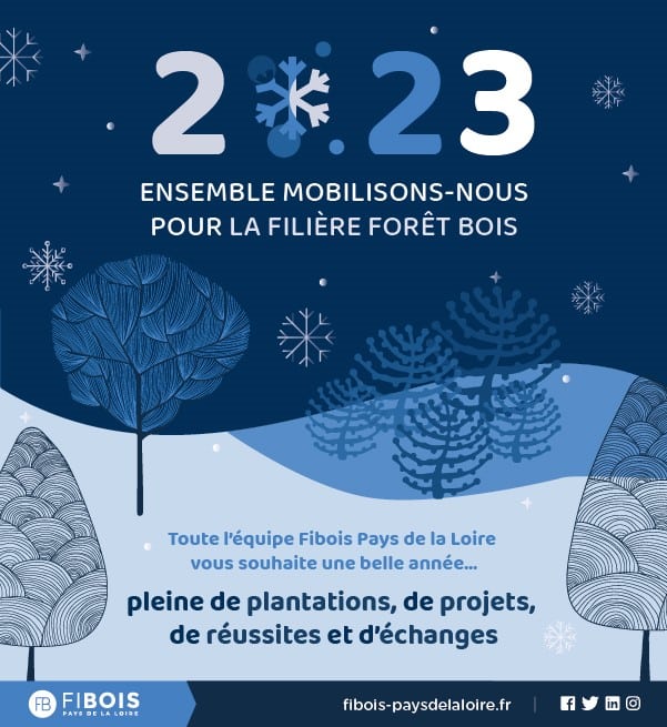 Voeux Final 2023