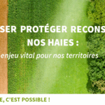 Appel De La Haie Hd 1080x608 1