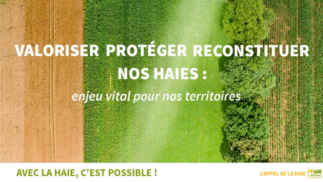 Appel De La Haie Hd 1080x608 1