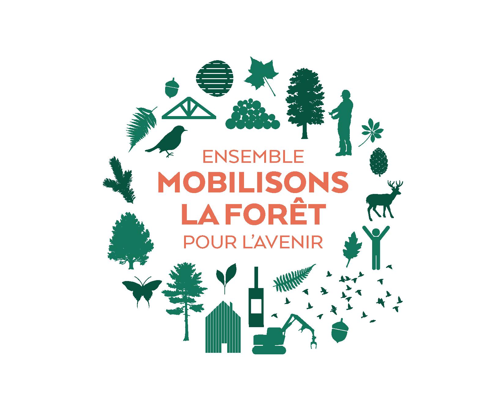 Logo Emfa Carre