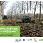 Journee Agroforesterie Peuplier 4juillet23