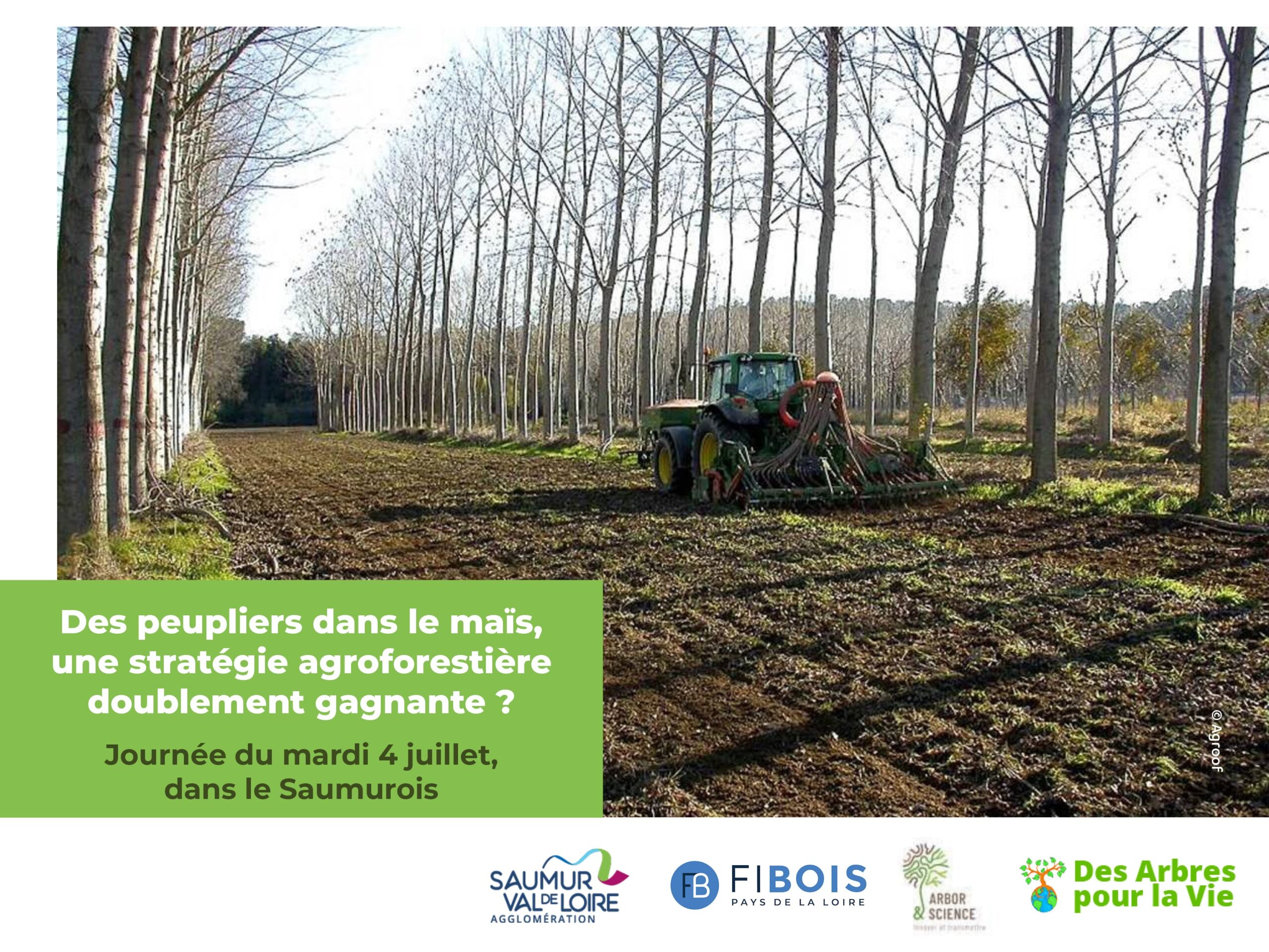 Journee Agroforesterie Peuplier 4juillet23