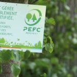 Pefc Panneauforet Franceboisregionsfranceboisforet Planrapproche