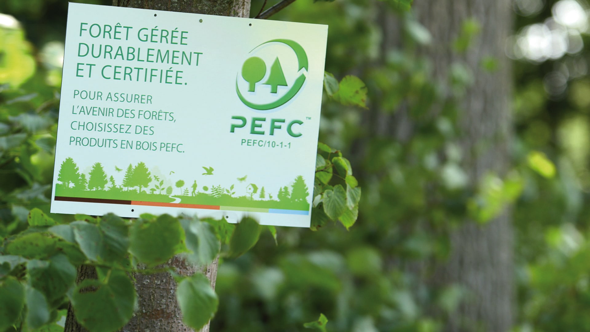 Pefc Panneauforet Franceboisregionsfranceboisforet Planrapproche