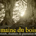 Agenda Semaine Du Bois Local Facebook 2048x1075 1