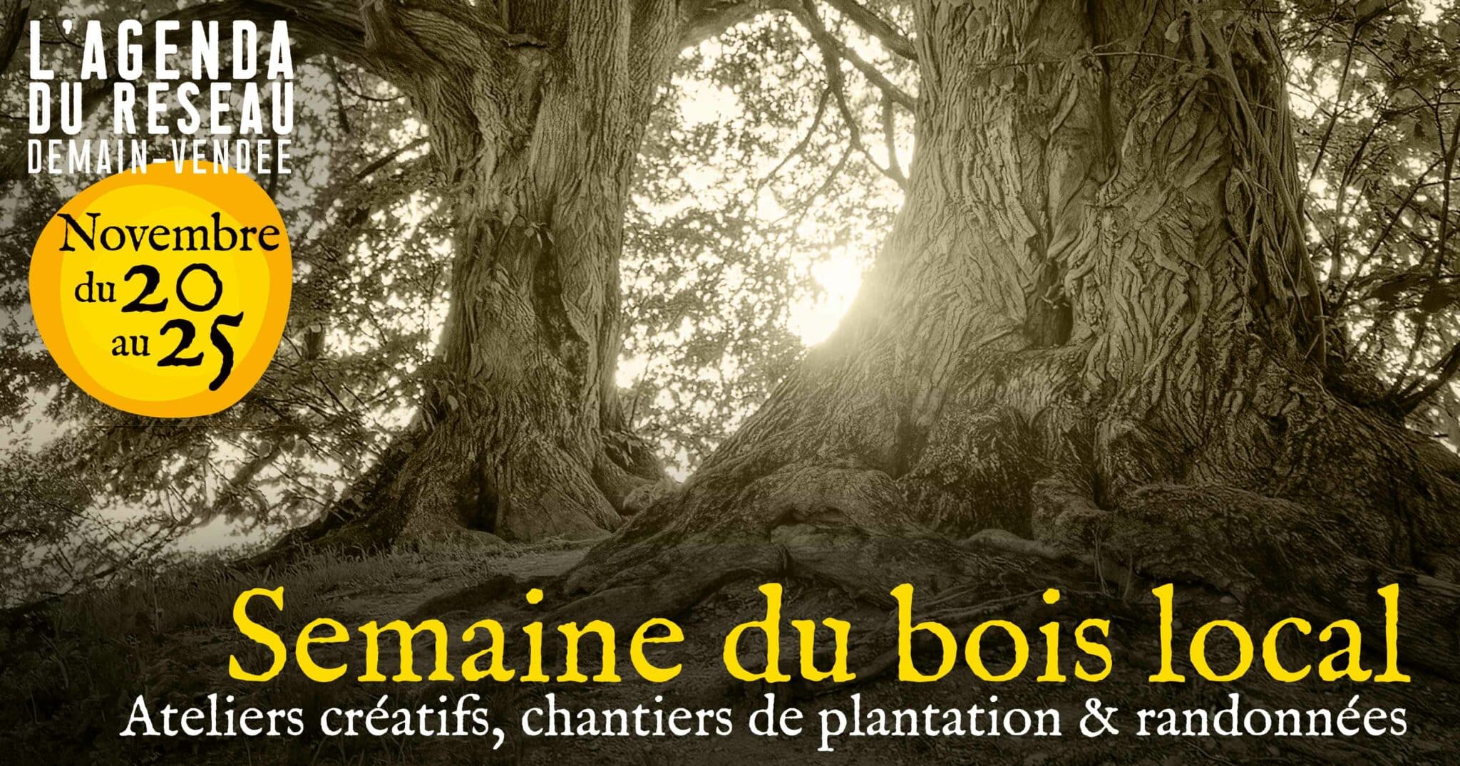 Agenda Semaine Du Bois Local Facebook 2048x1075 1