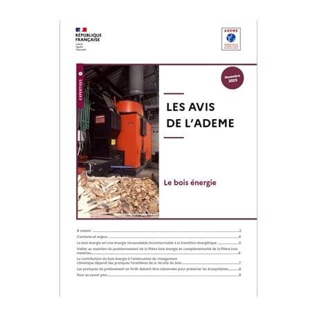 Avis De L Ademe Le Bois Energie 1