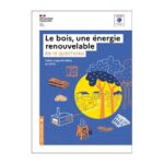 Le Bois Une Energie Renouvelable En 10 Questions