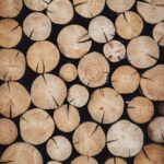 Alexandre Jaquetoni 6yelwdi3re8 Unsplash Scaled 1