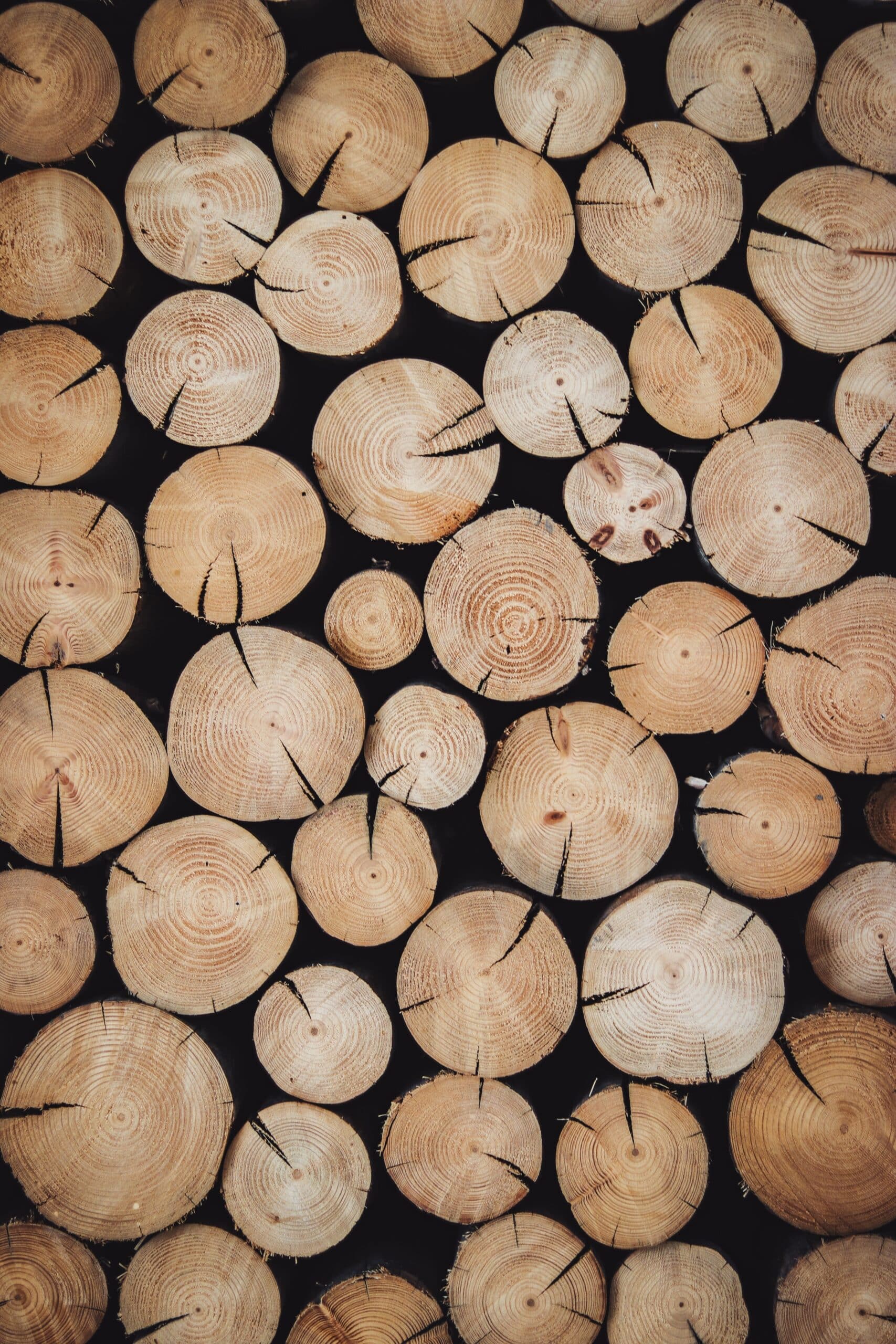 Alexandre Jaquetoni 6yelwdi3re8 Unsplash Scaled 1
